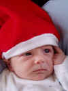 luc-jul-2005a.jpg (172424 byte)