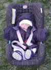 lucas-1.jpg (100532 byte)