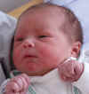 lucas-a.jpg (85553 byte)