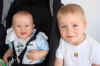 mikkel-lucas-1.jpg (68765 byte)